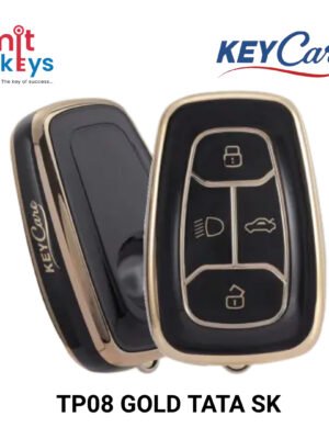 TP058 GOLD TATA SMART KEY