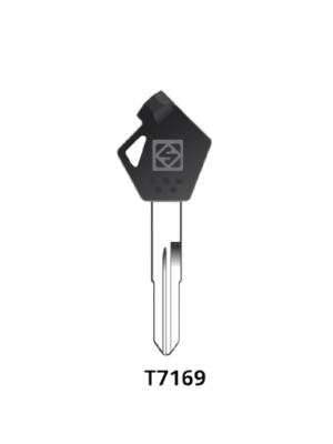 MS2W62 T7169 ACCESS MAGNET