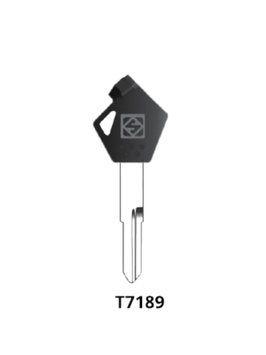 MS2W65 T7189 SUZUKI ACCESS M MAGNET