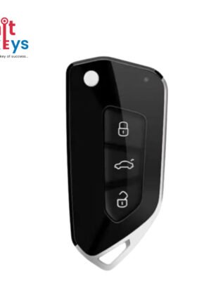 XHWR18 WIRE REMOTE VW 24