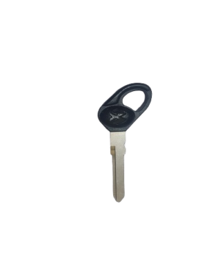 AKP1009 BAJAJ CT100  1*1 BRASS