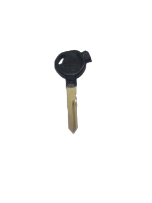 AK2W35 ACTIVA 5G L MAGNET