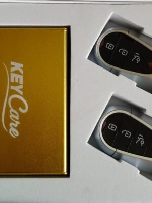 CA16 KCPB-111/033A PKE SMART GOLD
